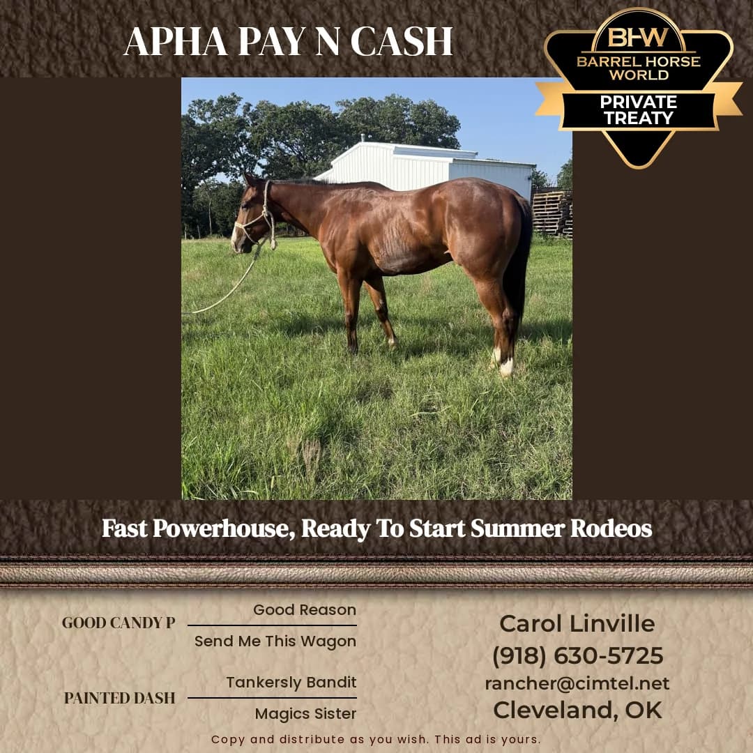 Pay N Cash image