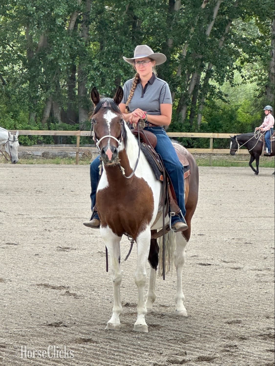 "Wild About Peppe "  Mare Paint backdrop