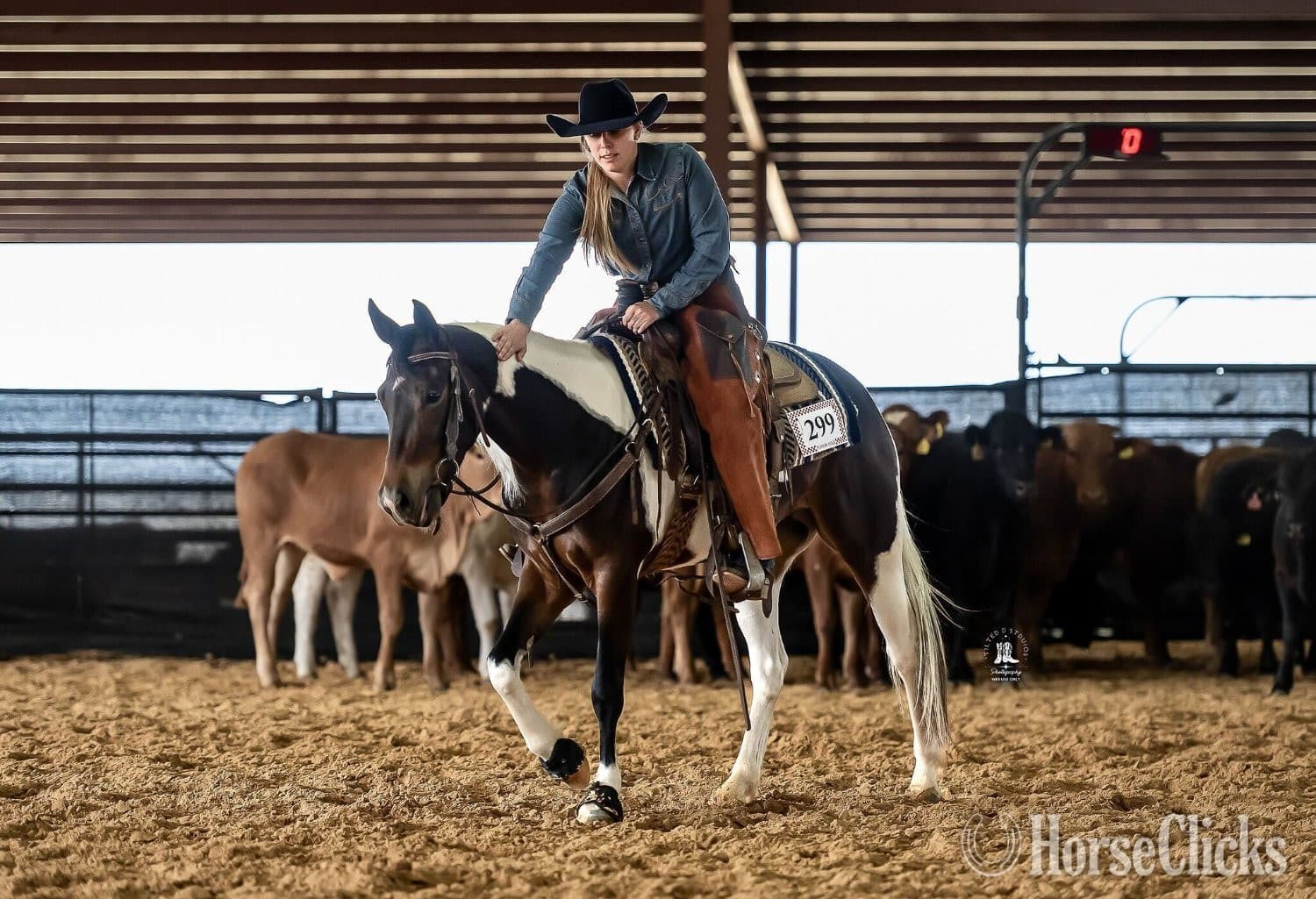 "A Pepto Lena Summer" Bay Mare Paint image "A Pepto Lena Summer" Bay Mare Paint image